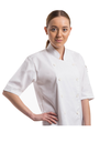 Komfortz Unisex Chef Jacket Plain Half Sleeves.png