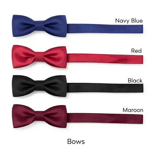 Formal Bow Tie